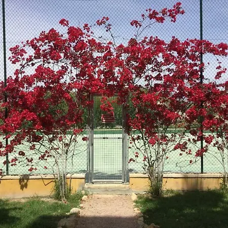 Apartamento Bonalba *